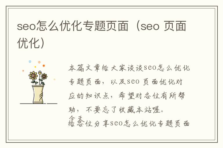 seo怎么优化专题页面(seo 页面优化)