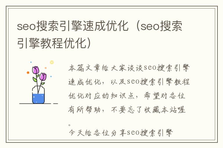 seo搜索引擎速成优化(seo搜索引擎教程优化)