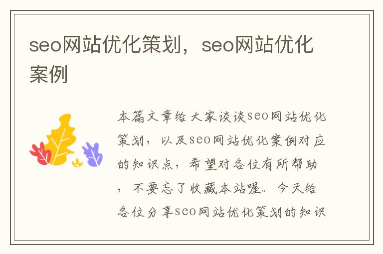 seo网站优化策划,seo网站优化案例