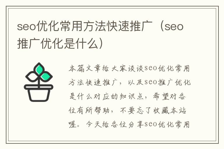 seo优化常用方法快速推广(seo推广优化是什么)