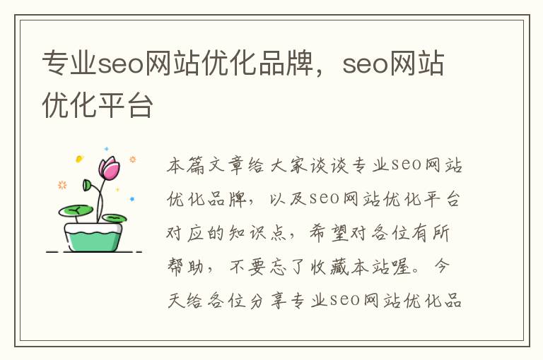 专业seo网站优化品牌,seo网站优化平台