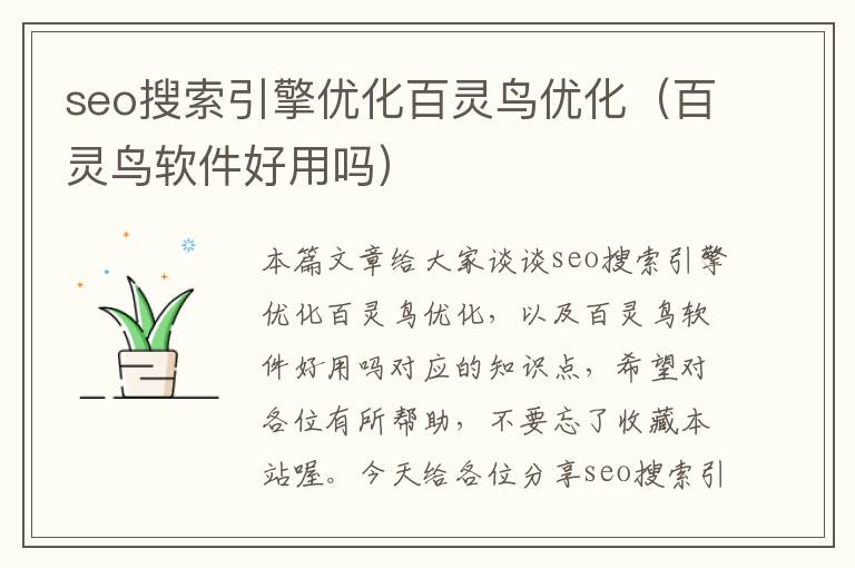 seo搜索引擎优化百灵鸟优化(百灵鸟软件好用吗)