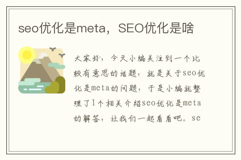 seo优化是meta,SEO优化是啥