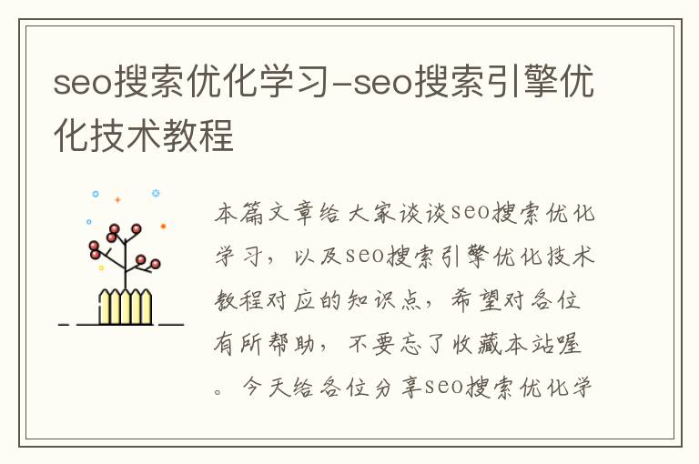 seo搜索优化学习-seo搜索引擎优化技术教程