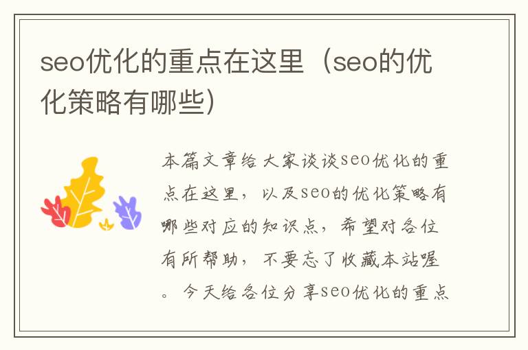 seo优化的重点在这里(seo的优化策略有哪些)