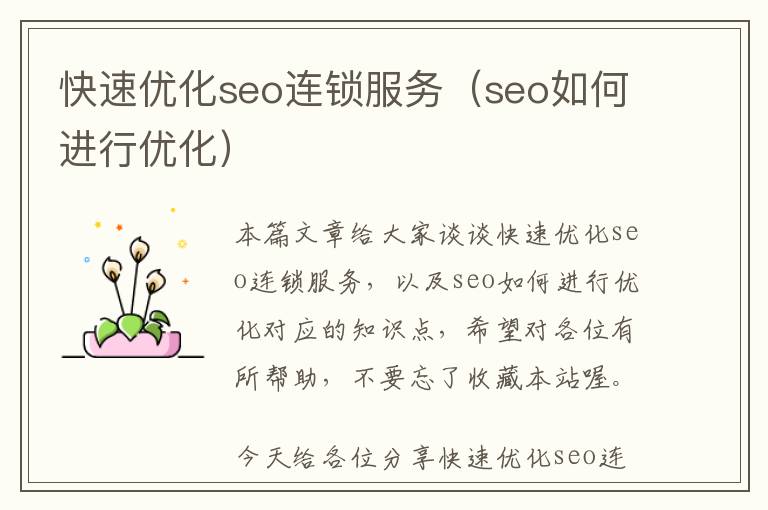 快速优化seo连锁服务(seo如何进行优化)