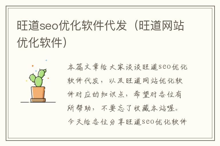 旺道seo优化软件代发(旺道网站优化软件)