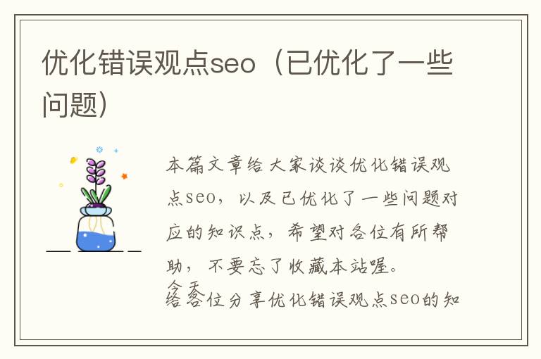 优化错误观点seo(已优化了一些问题)