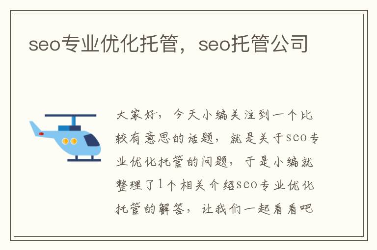 seo专业优化托管,seo托管公司