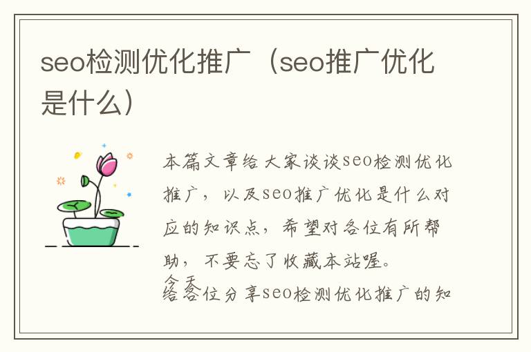 seo检测优化推广(seo推广优化是什么)