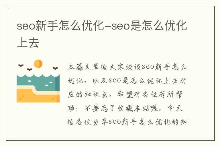 seo新手怎么优化-seo是怎么优化上去