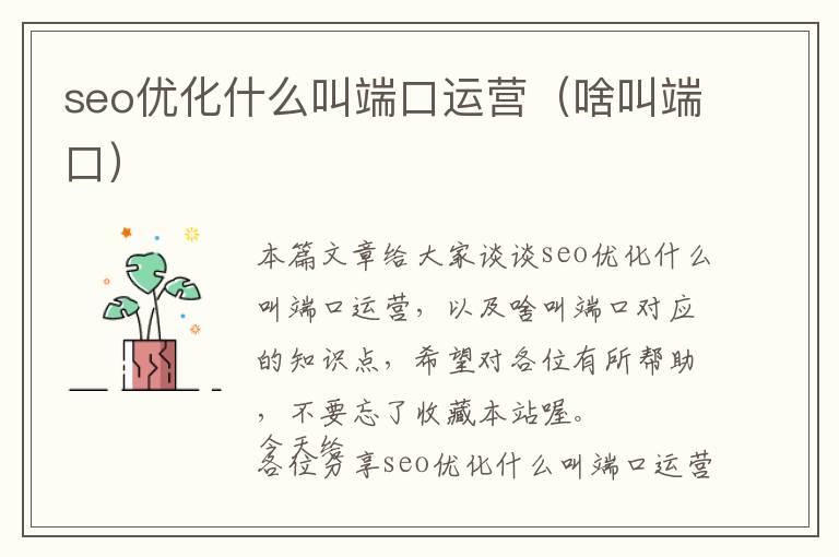 seo优化什么叫端口运营(啥叫端口)