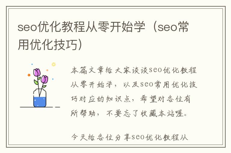 seo优化教程从零开始学(seo常用优化技巧)