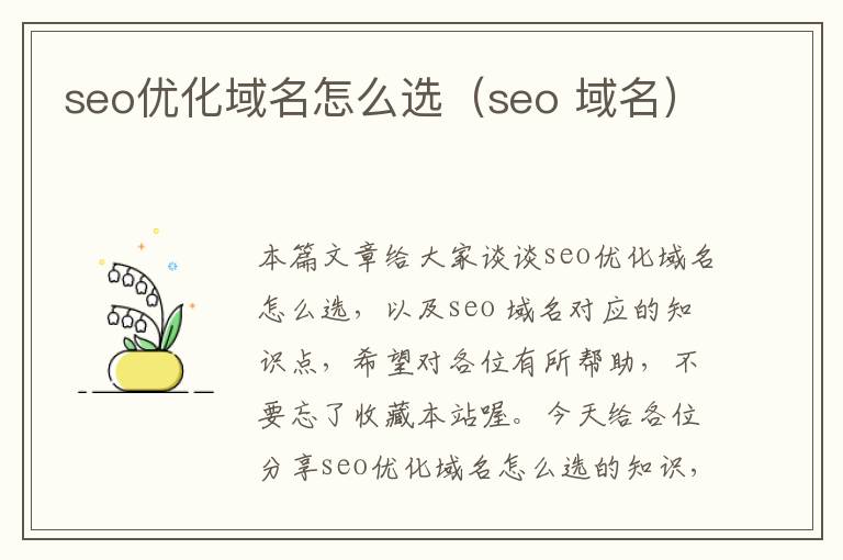 seo优化域名怎么选(seo 域名)