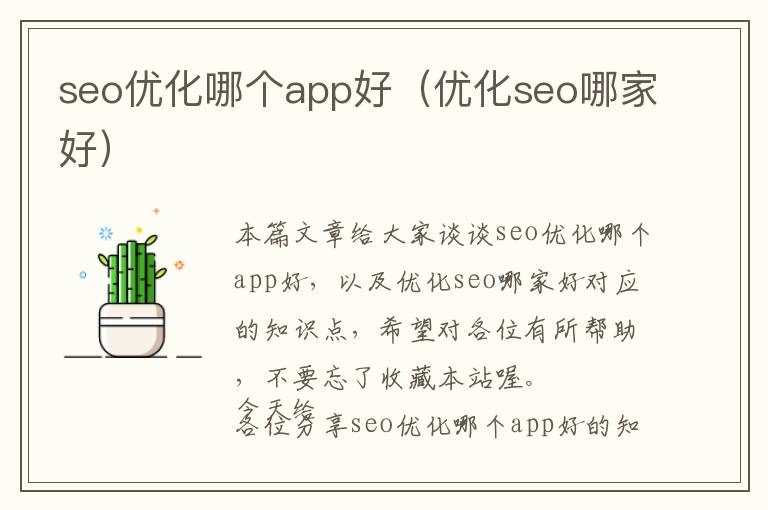 seo优化哪个app好(优化seo哪家好)