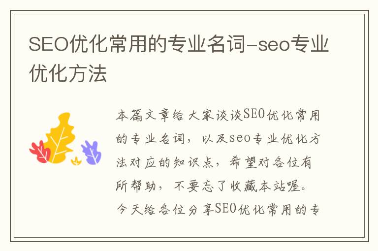 SEO优化常用的专业名词-seo专业优化方法
