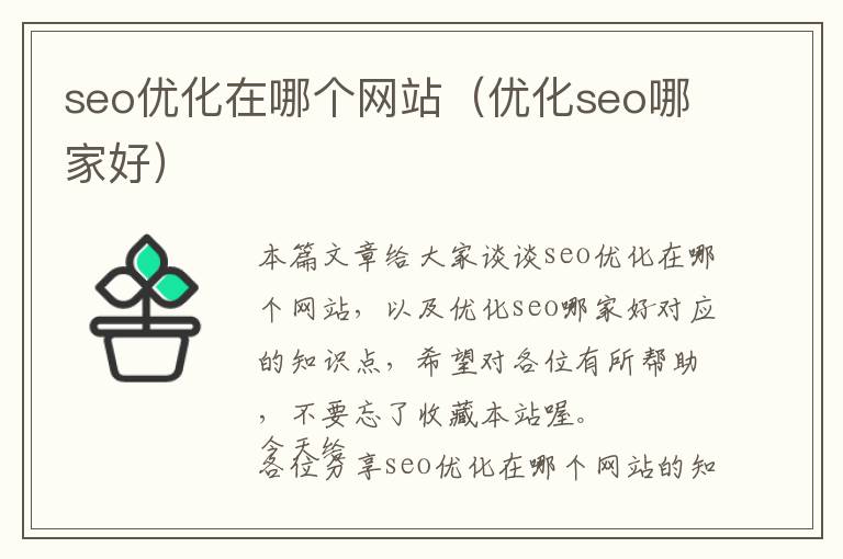 seo优化在哪个网站(优化seo哪家好)