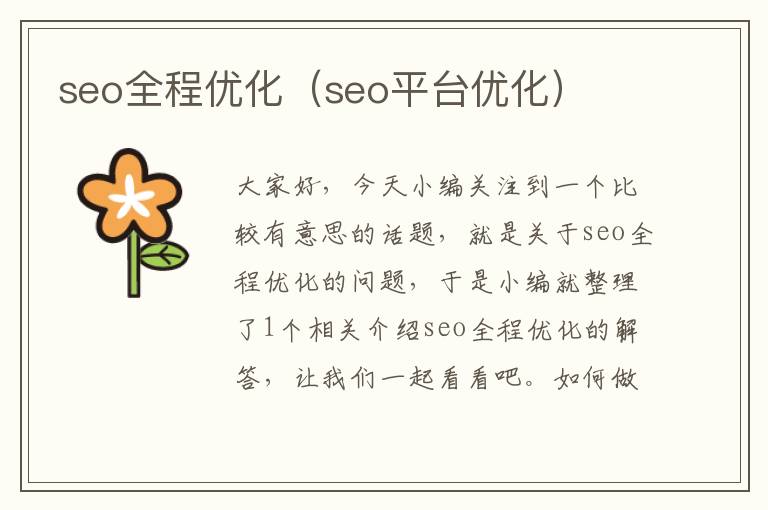 seo全程优化(seo平台优化)