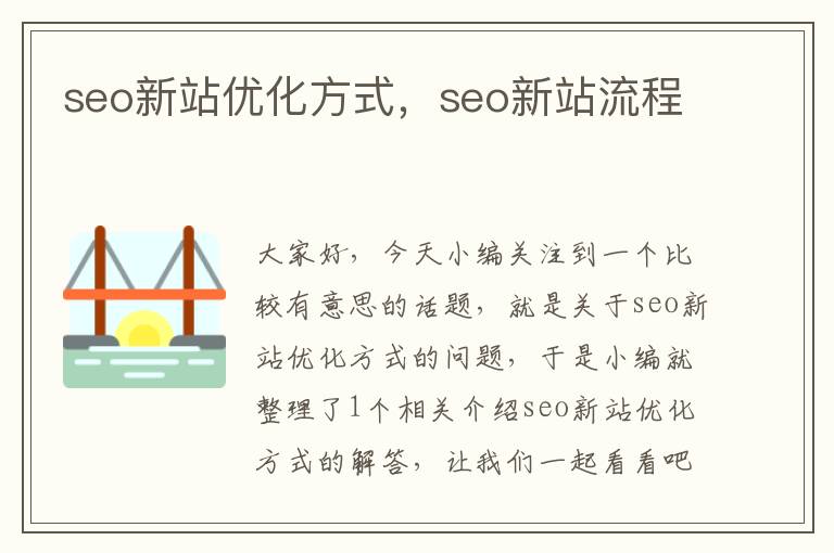 seo新站优化方式,seo新站流程