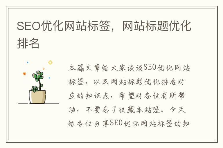 SEO优化网站标签,网站标题优化排名