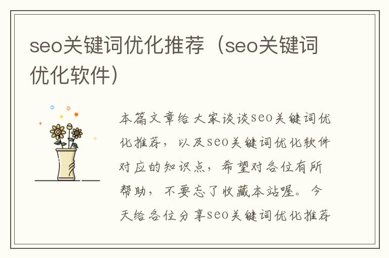 seo关键词优化推荐(seo关键词优化软件)