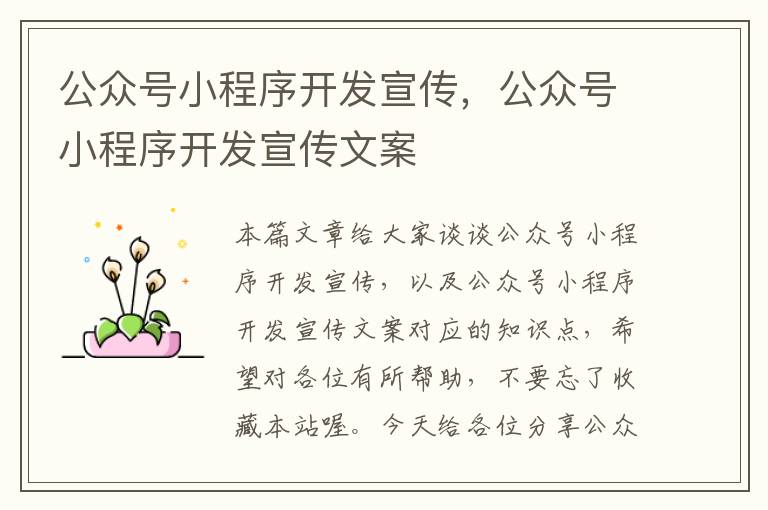 公众号小程序开发宣传,公众号小程序开发宣传文案