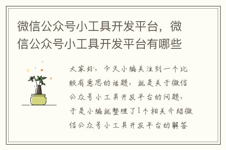 微信公众号小工具开发平台,微信公众号小工具开发平台有哪些