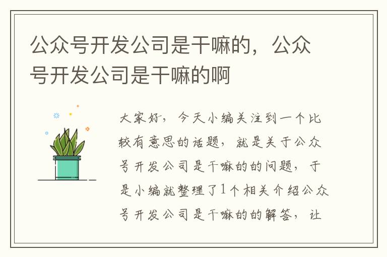 公众号开发公司是干嘛的,公众号开发公司是干嘛的啊