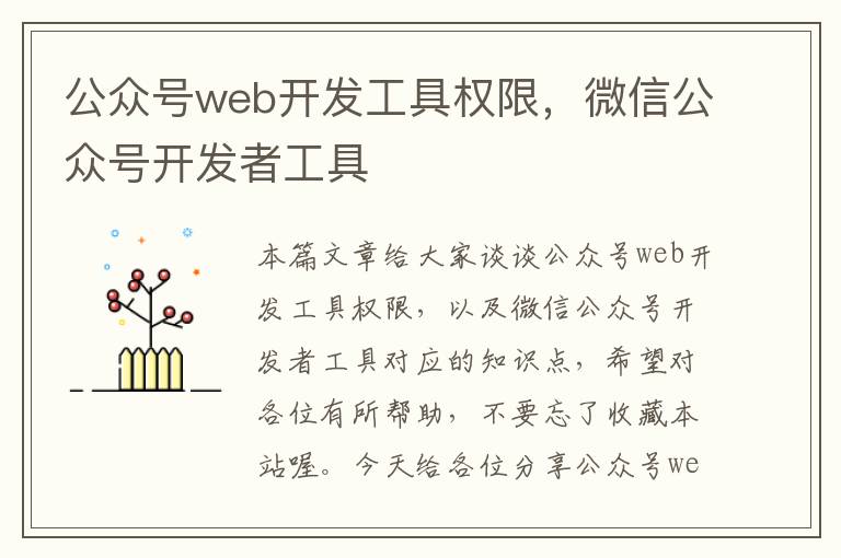 公众号web开发工具权限,微信公众号开发者工具