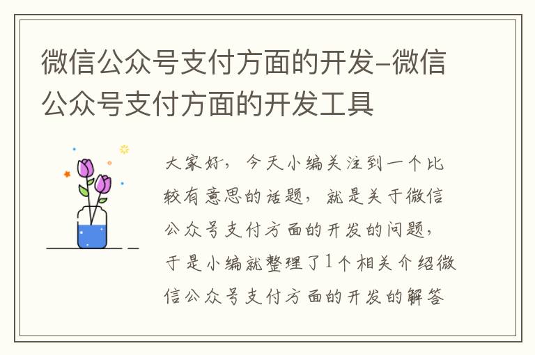 微信公众号支付方面的开发-微信公众号支付方面的开发工具