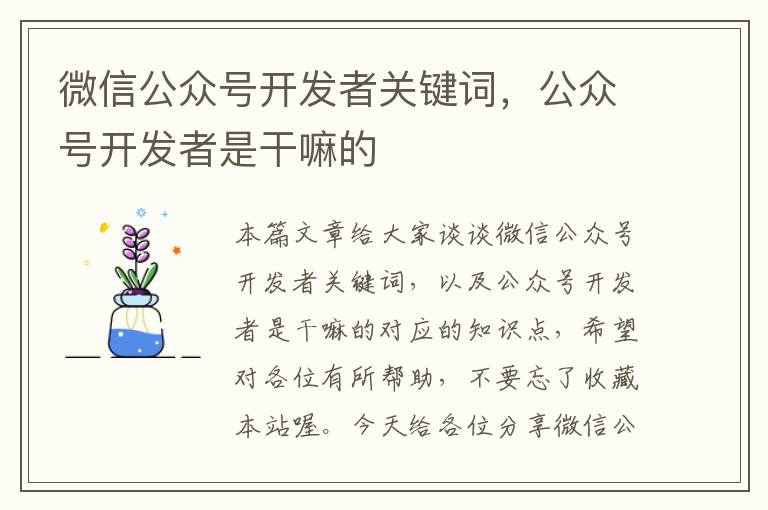 微信公众号开发者关键词,公众号开发者是干嘛的