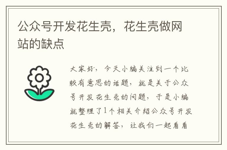 公众号开发花生壳,花生壳做网站的缺点