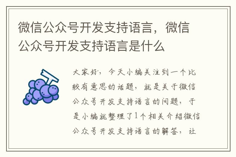 微信公众号开发支持语言,微信公众号开发支持语言是什么