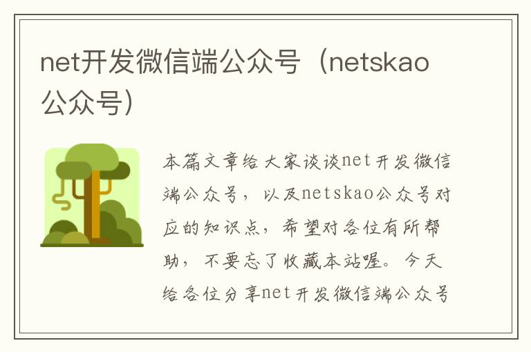 net开发微信端公众号(netskao公众号)