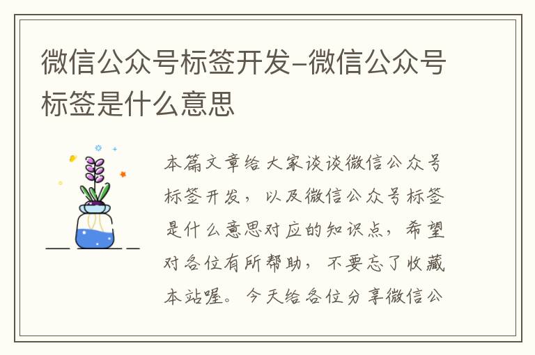 微信公众号标签开发-微信公众号标签是什么意思
