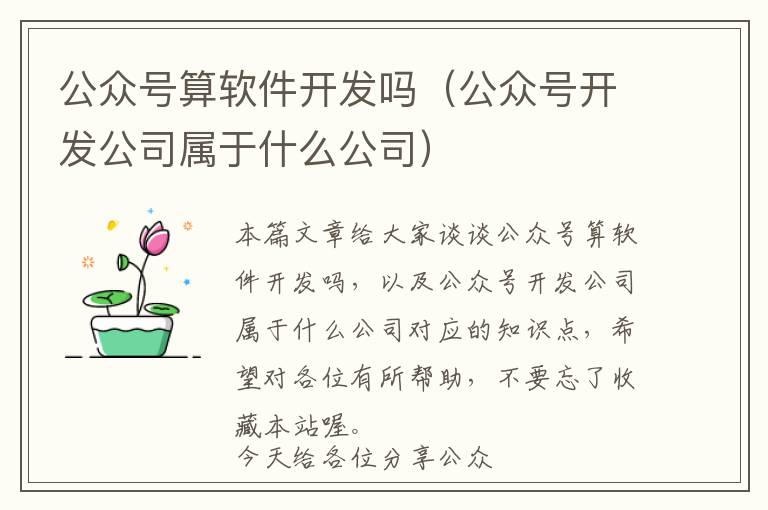 公众号算软件开发吗(公众号开发公司属于什么公司)