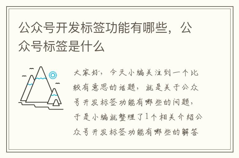 公众号开发标签功能有哪些,公众号标签是什么