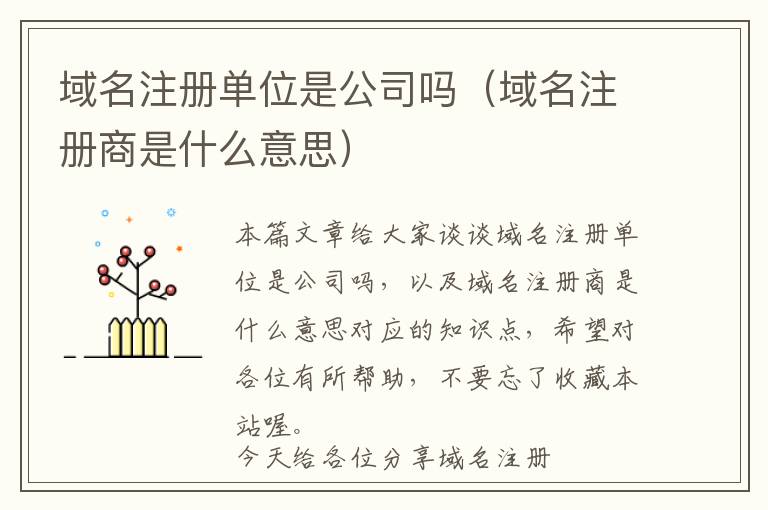 域名注册单位是公司吗(域名注册商是什么意思)