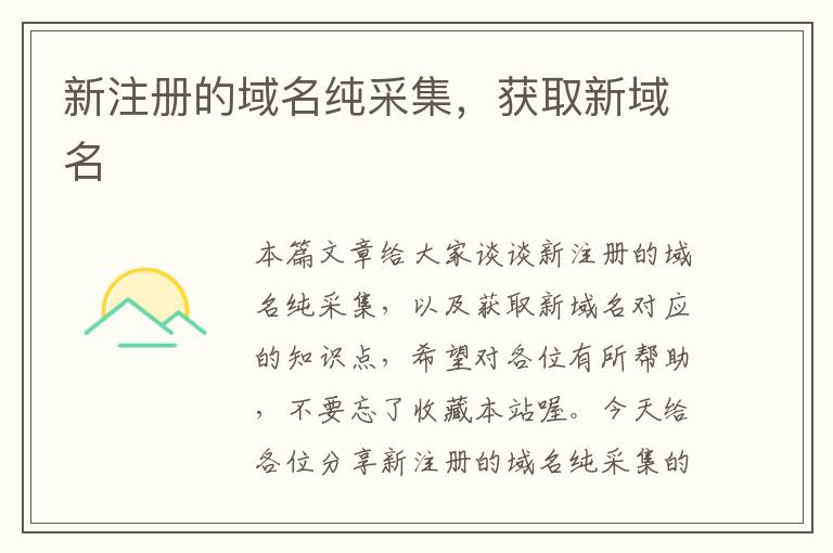新注册的域名纯采集,获取新域名