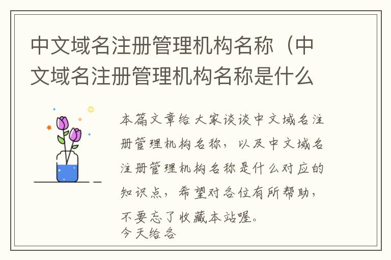 中文域名注册管理机构名称(中文域名注册管理机构名称是什么)