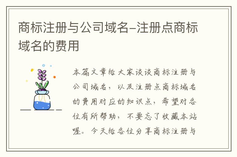 商标注册与公司域名-注册点商标域名的费用