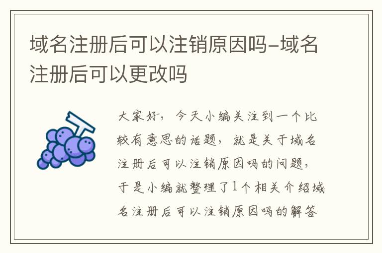 域名注册后可以注销原因吗-域名注册后可以更改吗