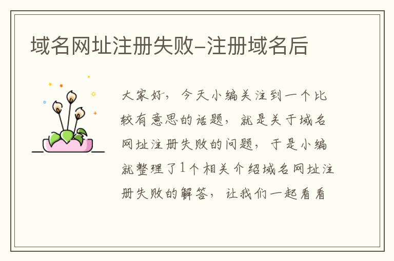域名网址注册失败-注册域名后