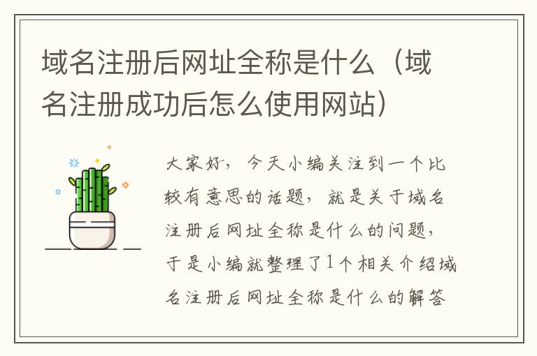 域名注册后网址全称是什么(域名注册成功后怎么使用网站)