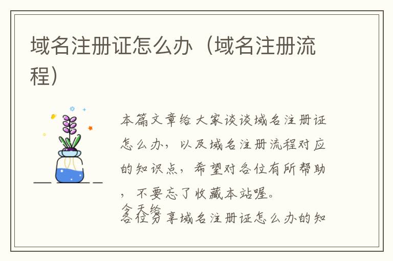 域名注册证怎么办(域名注册流程)