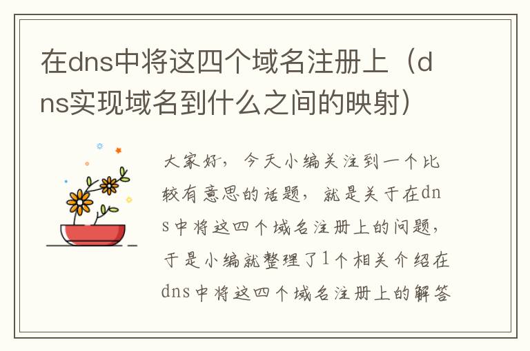 在dns中将这四个域名注册上(dns实现域名到什么之间的映射)