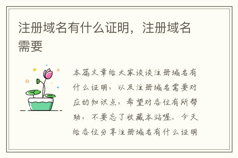 注册域名有什么证明,注册域名需要