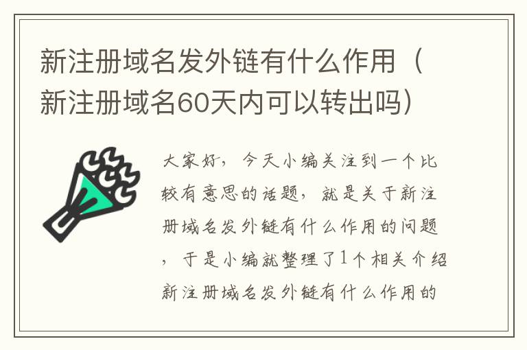 新注册域名发外链有什么作用(新注册域名60天内可以转出吗)