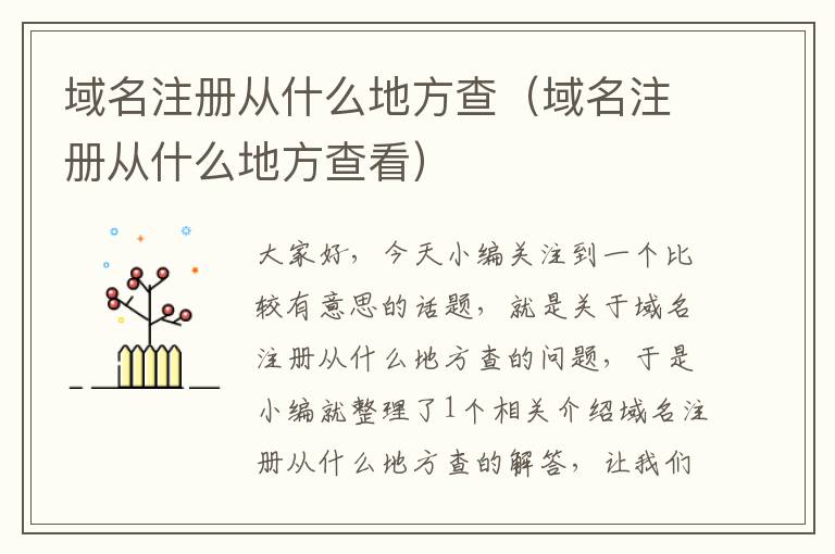 域名注册从什么地方查(域名注册从什么地方查看)