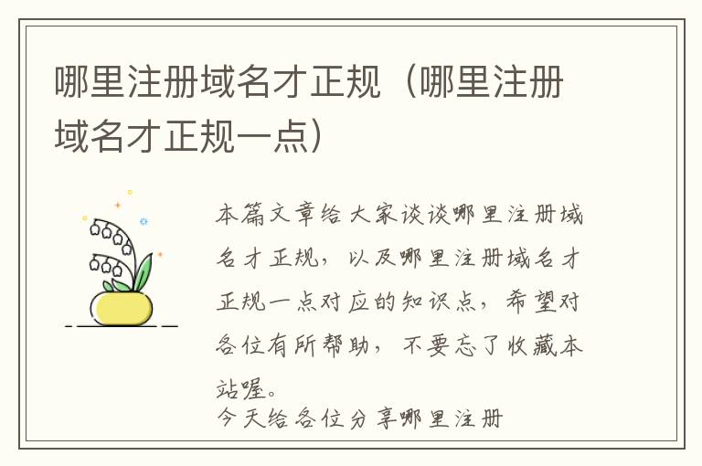 哪里注册域名才正规(哪里注册域名才正规一点)